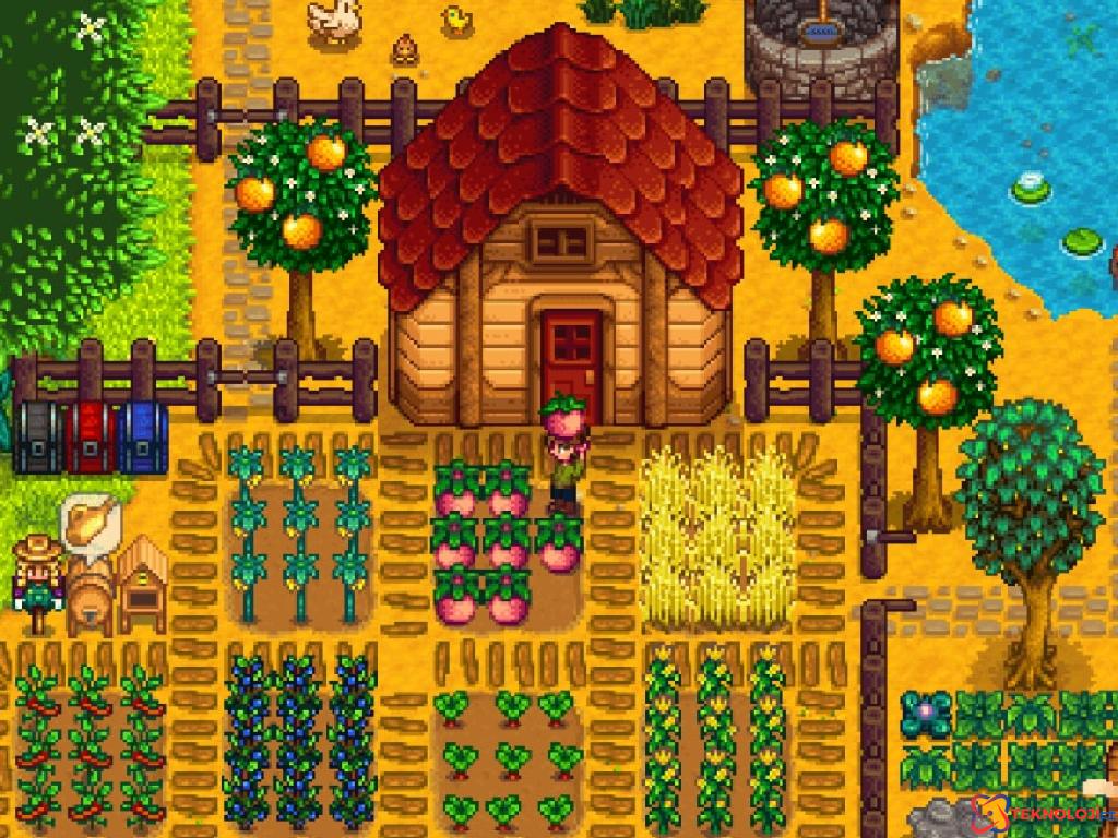 Stardew Valley’in şimdiye kadar kaç adet sattığı açıklandı!