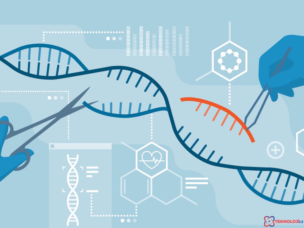 Antibiyotik Direncinin Crispr ile Çözümü