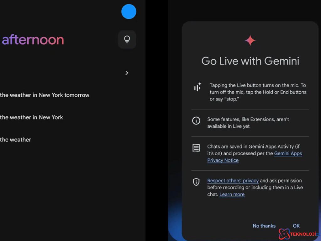 Gemini Live: Google'un Yeni Oyuncağı Pixel 6 Pro'da Ortaya Çıktı!