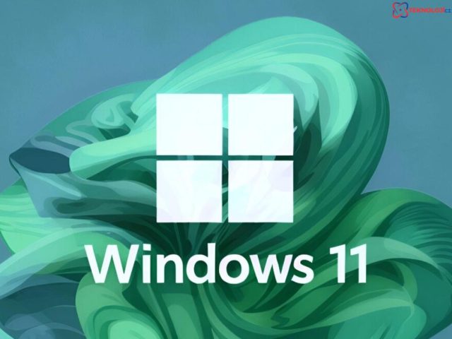 Windows 10 ve Windows 11 Kullanım İstatistikleri